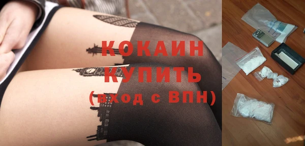 стафф Алексин