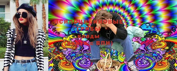 стафф Алексин