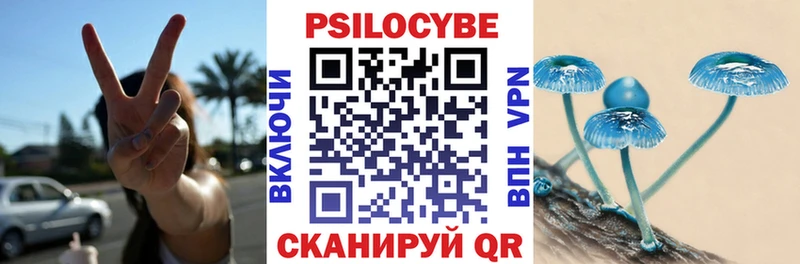 цена Тверь Галлюциногенные грибы Psilocybe